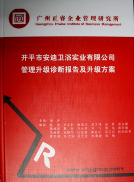 《開平市安迪衛(wèi)浴實(shí)業(yè)有限公司管理升級診斷報告及升級方案》
