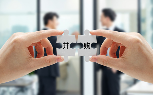 戰(zhàn)略投資與并購：拓展企業(yè)規(guī)模，增強(qiáng)市場競爭力