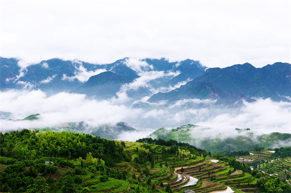管理咨詢?nèi)绾沃刂萜髽I(yè)戰(zhàn)略規(guī)劃落地？
