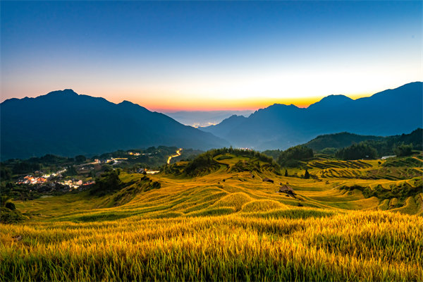 定制化管理咨詢方案：麗水企業(yè)轉(zhuǎn)型升級(jí)的鑰匙？