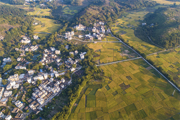 肇慶預(yù)算管理咨詢公司如何為企業(yè)構(gòu)建精細(xì)化的預(yù)算體系？