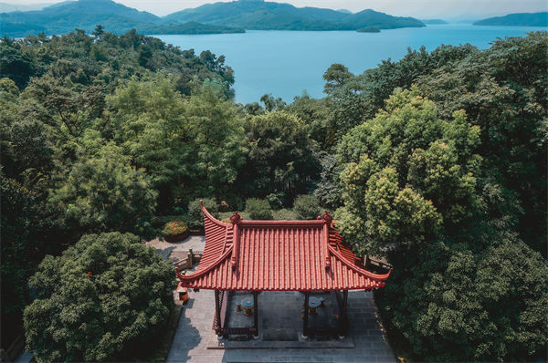 常州戰(zhàn)略咨詢公司如何精準把握市場趨勢？