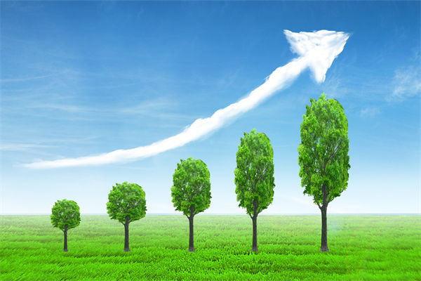 植樹就是植未來，對企業(yè)的戰(zhàn)略規(guī)劃有哪些啟示？