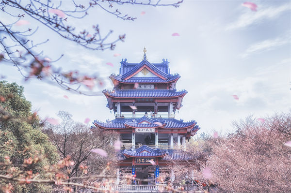供應(yīng)鏈成本居高不下，無錫供應(yīng)鏈咨詢公司如何精準(zhǔn)砍出利潤空間？
